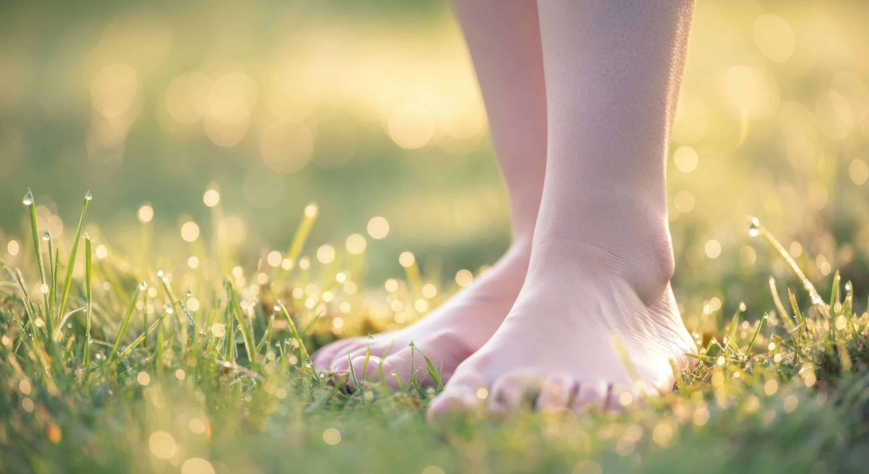 Close-up of bare feet on dewy grass in morning light